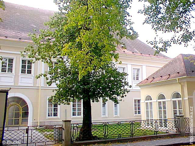 Bruntál, Nám. J. Žižky, Bývalý panský dům čp. 13